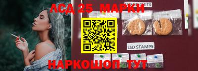 спиды Новозыбков