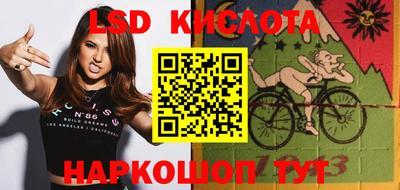 спиды Новозыбков