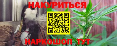 спиды Новозыбков
