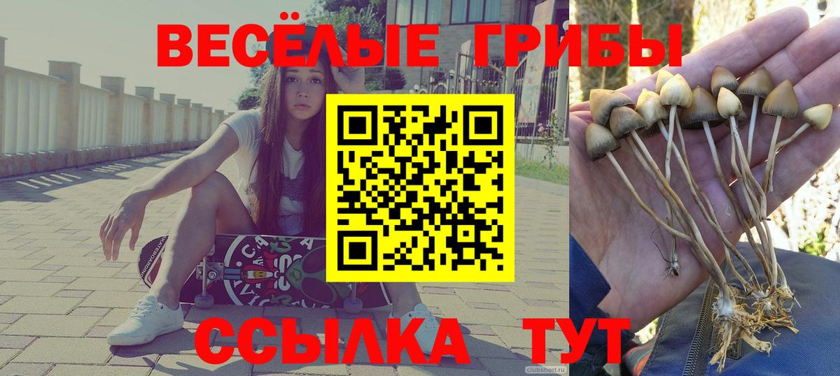 Галлюциногенные грибы MAGIC MUSHROOMS  Вход с VPN  Пушкино 